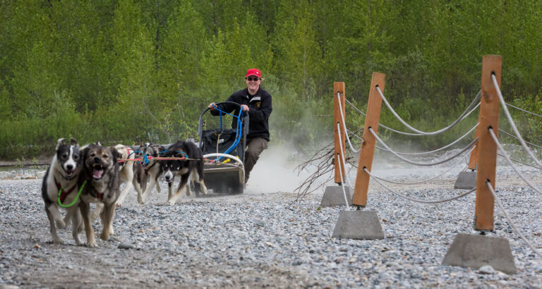 Skagway Sled Dog Demo 11