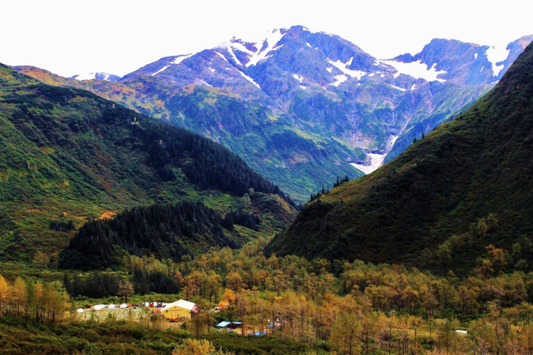 Summer Sled Dog Camp 10