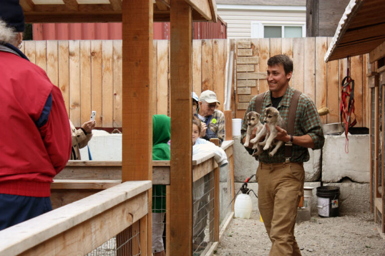 Skagway Sled Dog Demo 12