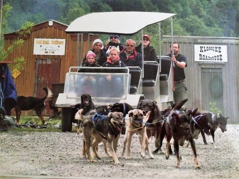 Summer Sled Dog Camp